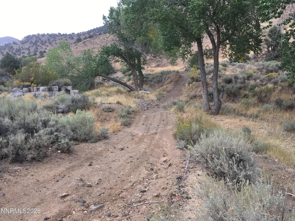 004-311-01 Six Mile Canyon Virginia City NV 89440