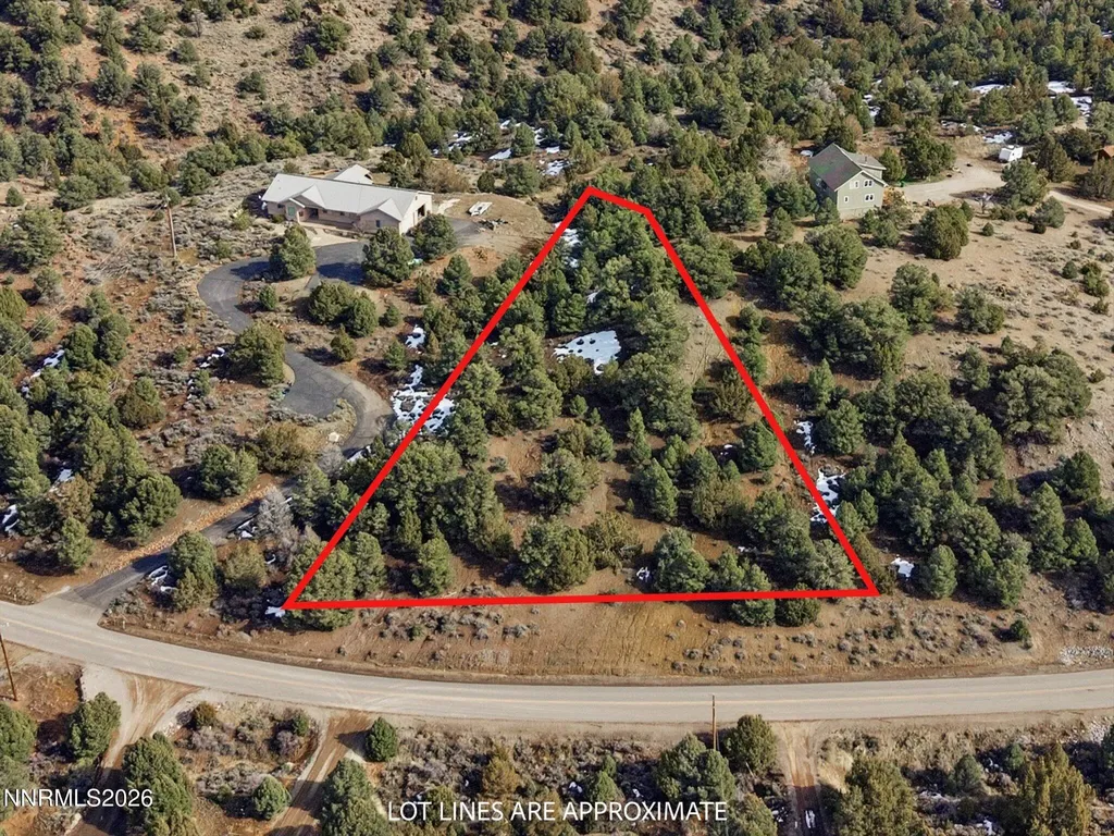 1859 Lousetown Reno NV 89521