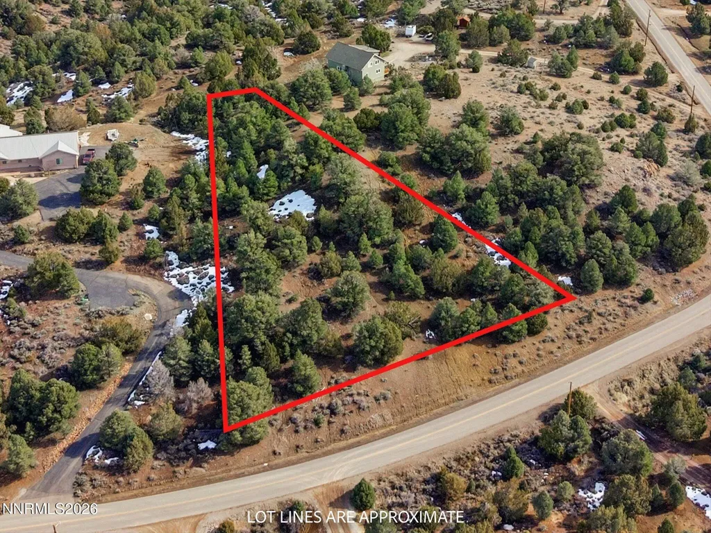 1859 Lousetown Reno NV 89521