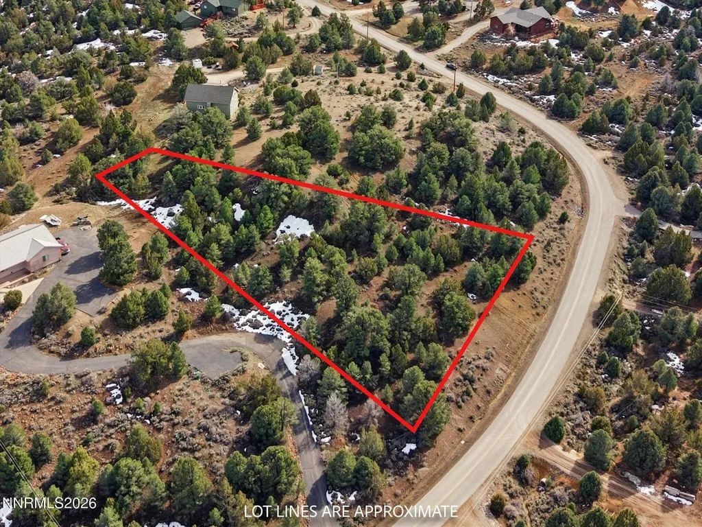 1859 Lousetown Reno NV 89521