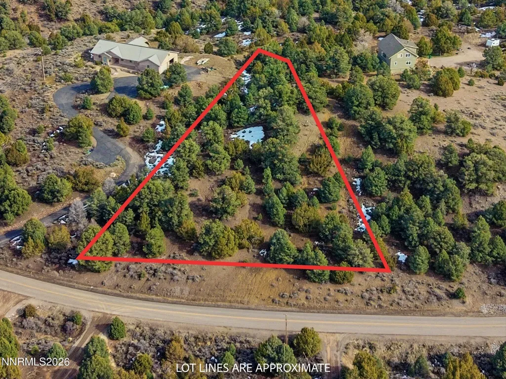 1859 Lousetown Reno NV 89521