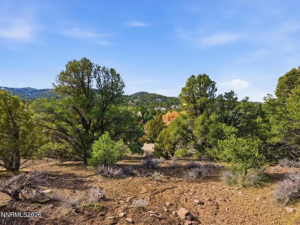 1859 Lousetown Reno NV 89521