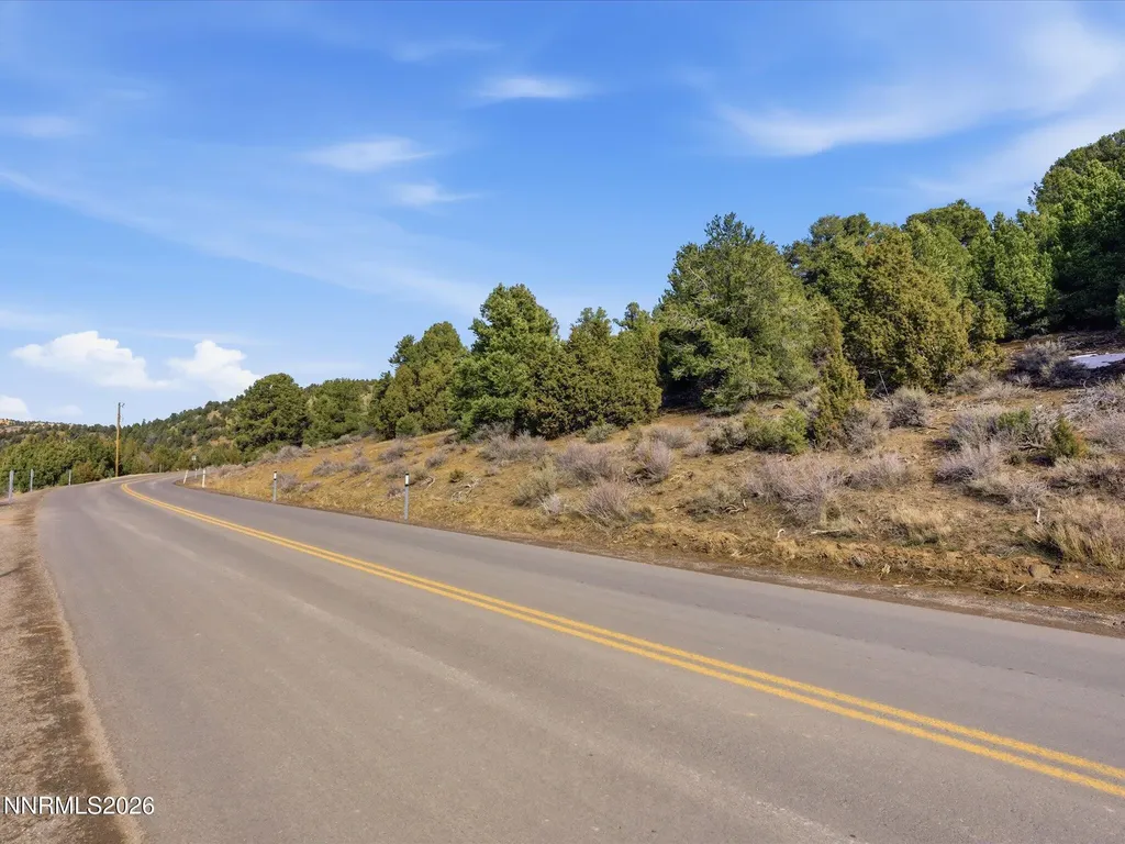 1859 Lousetown Reno NV 89521