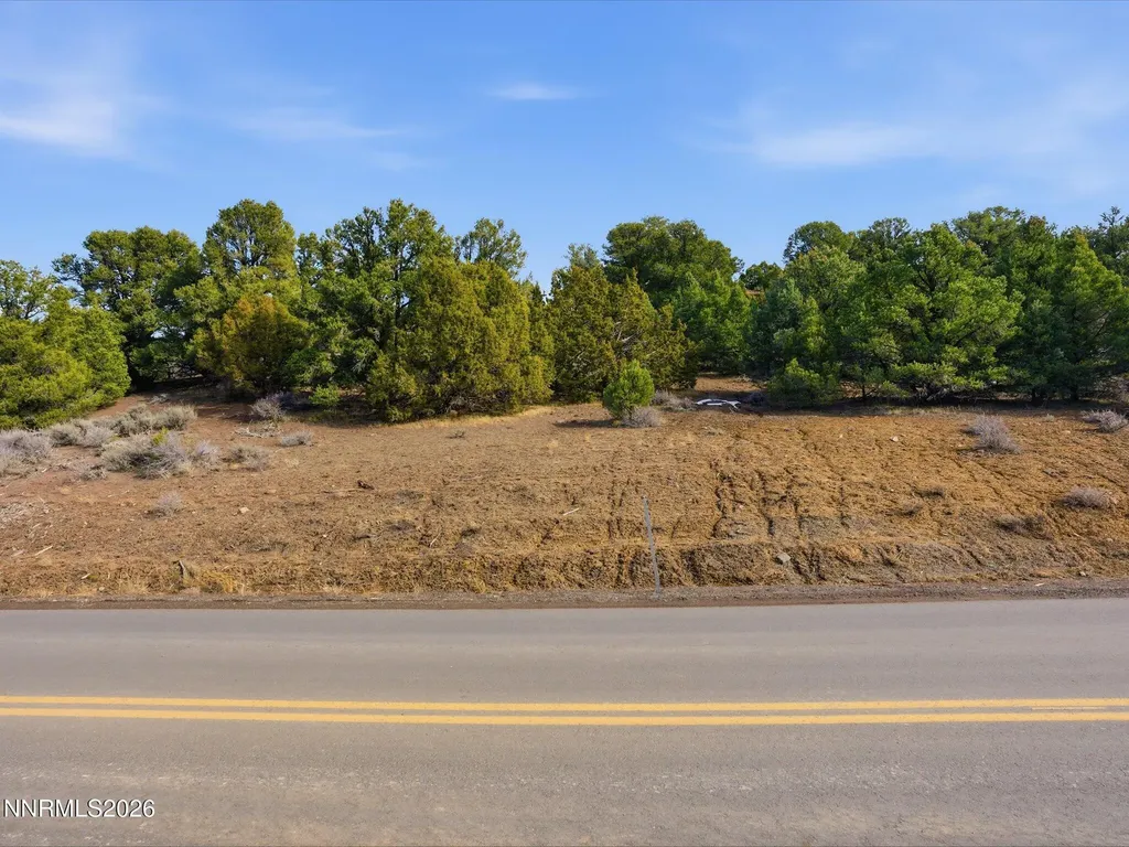 1859 Lousetown Reno NV 89521