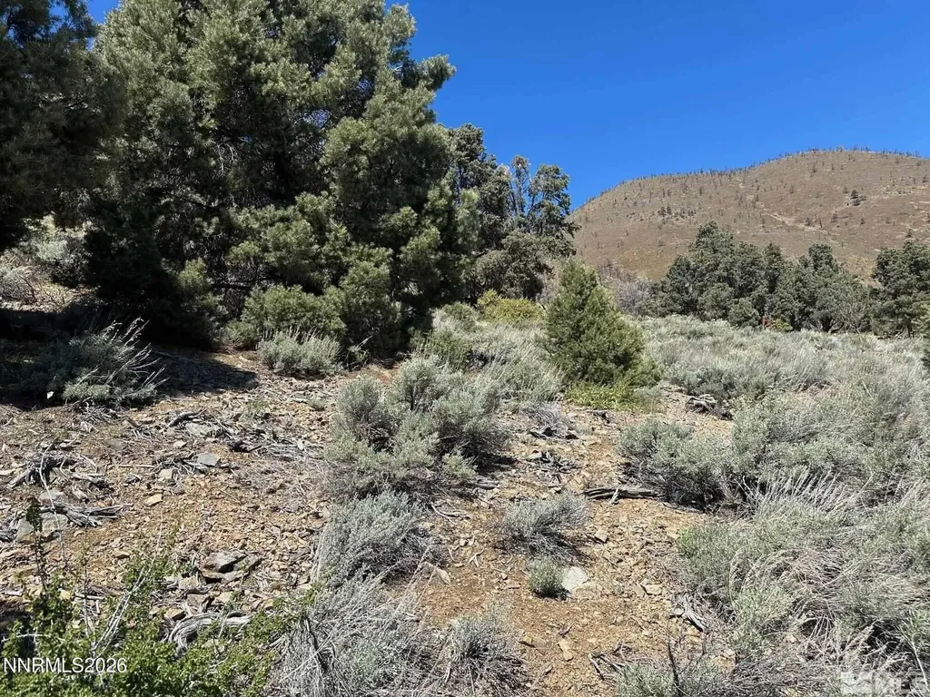 3242 Highland Gardnerville NV 89410
