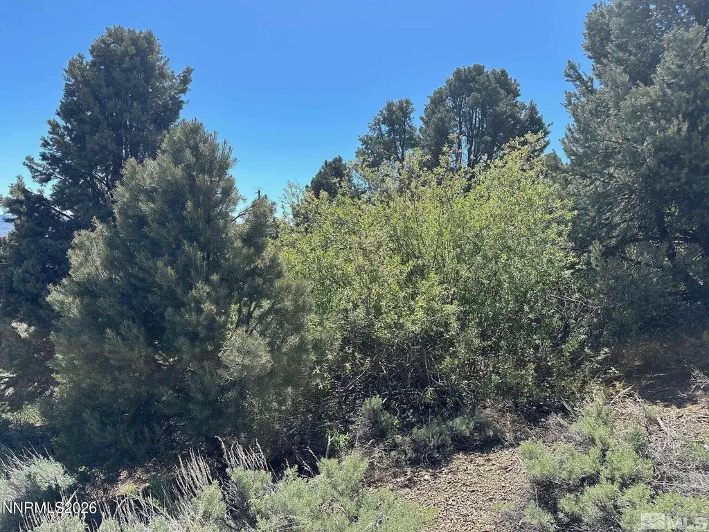 3242 Highland Gardnerville NV 89410