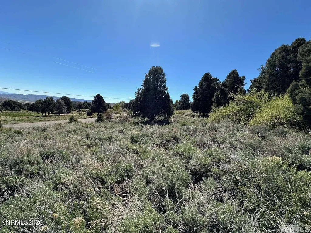 3242 Highland Gardnerville NV 89410