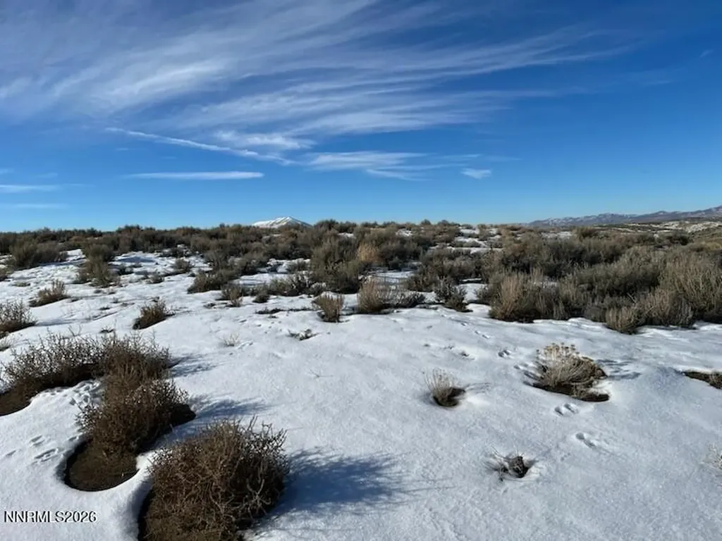 25 Halleck Elko NV 89801