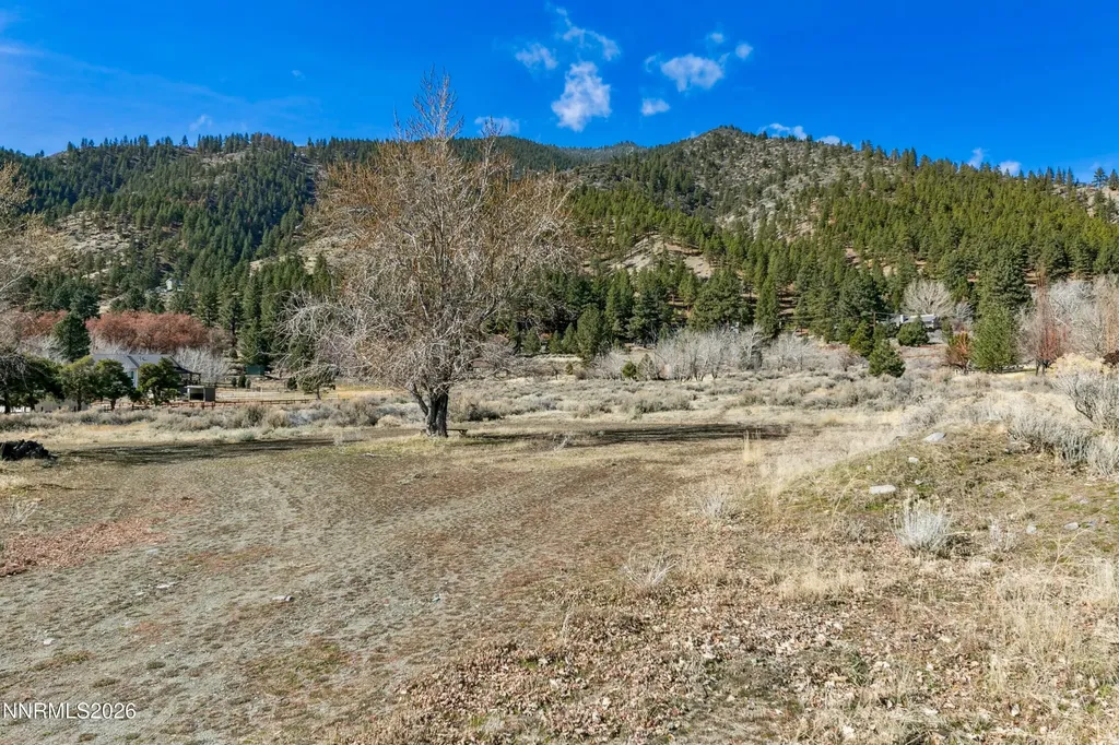 2350 Jacks Valley Genoa NV 89411