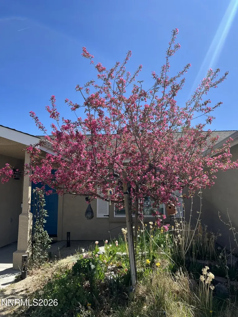 1371 White Bluffs Fernley NV 89408