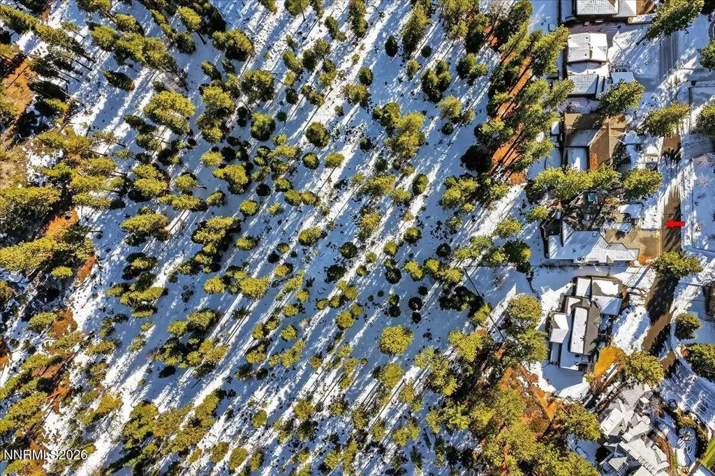 1264 Hidden Woods Zephyr Cove NV 89448