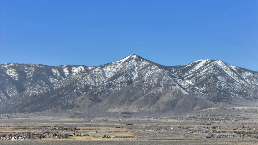 1317 Bridle Minden NV 89423