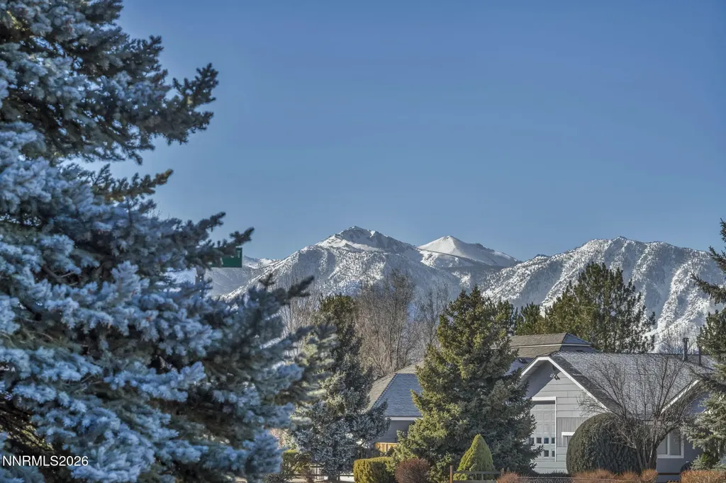 1317 Bridle Minden NV 89423