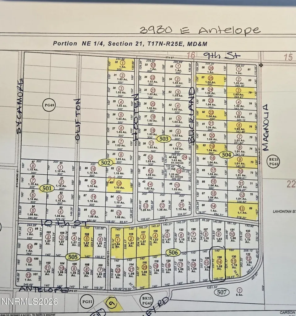 3930 Antelope Silver Springs NV 89429