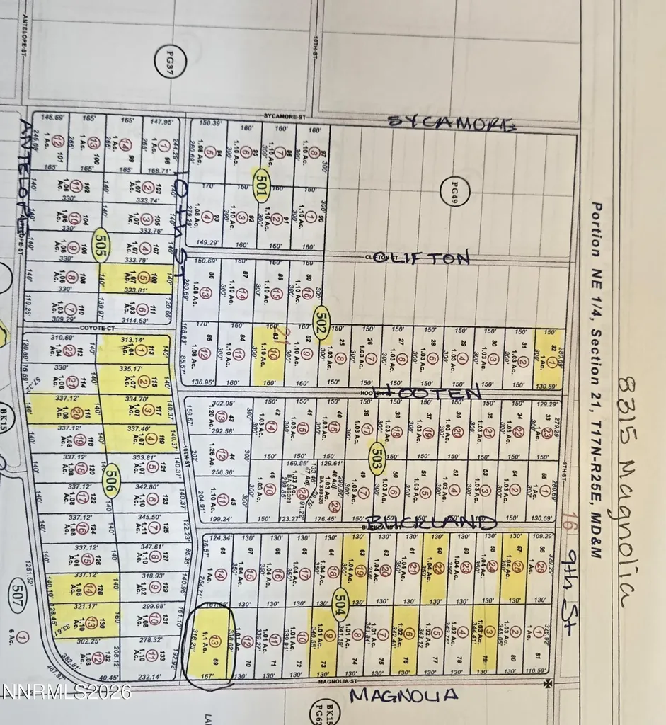 8315 Magnolia Silver Springs NV 89429