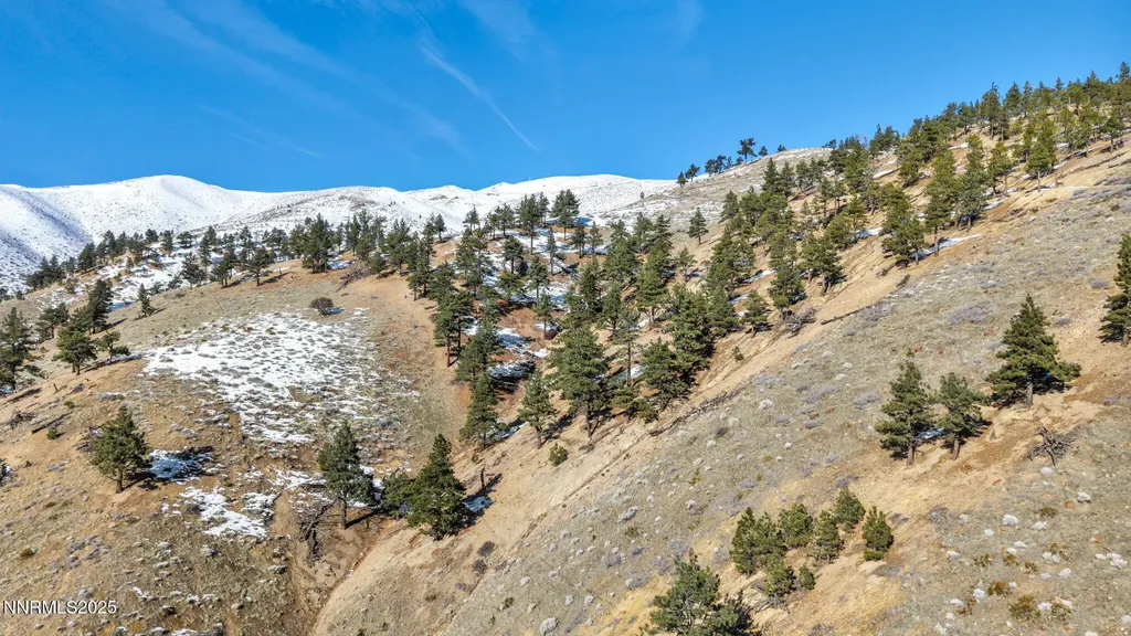 0 Apn 081-160-15 Reno NV 89523