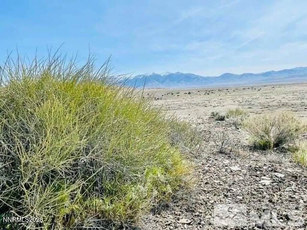 00394006 Poker Brown Camp Lovelock NV 89419