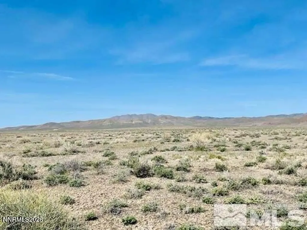 00394006 Poker Brown Camp Lovelock NV 89419