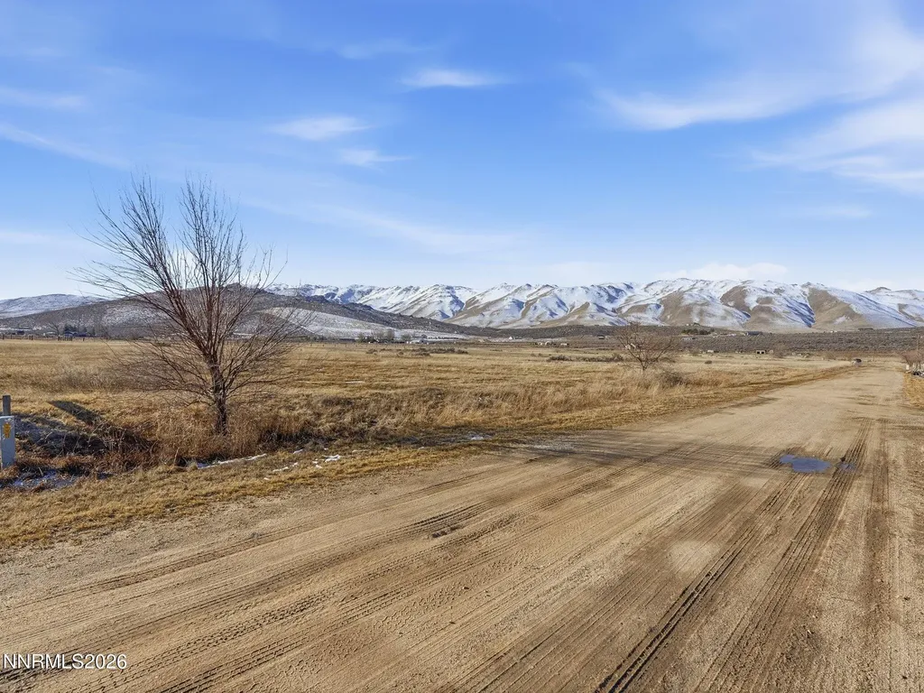 105 Cowhide Reno NV 89508