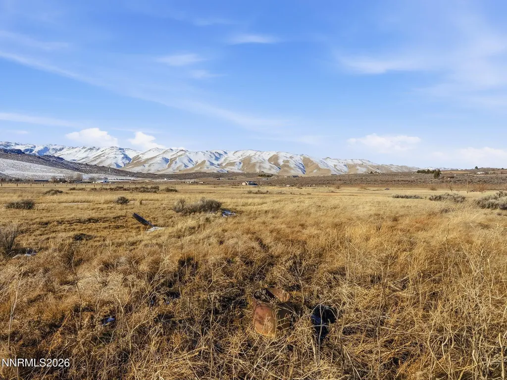 105 Cowhide Reno NV 89508
