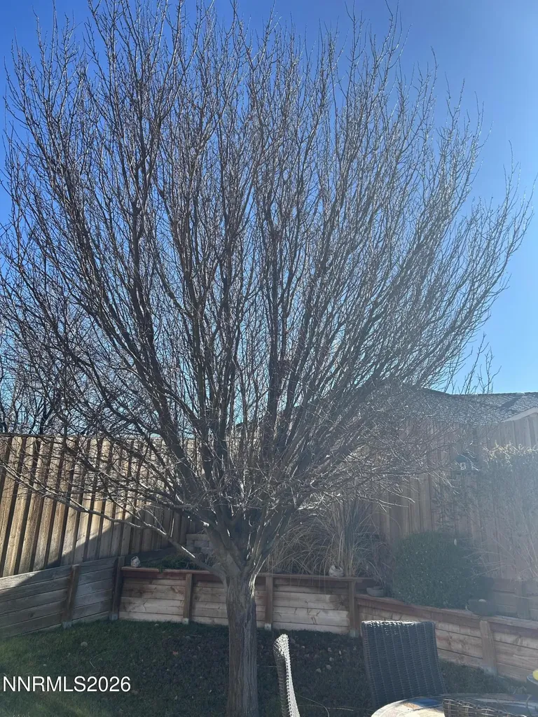 1971 One Iron Fernley NV 89408