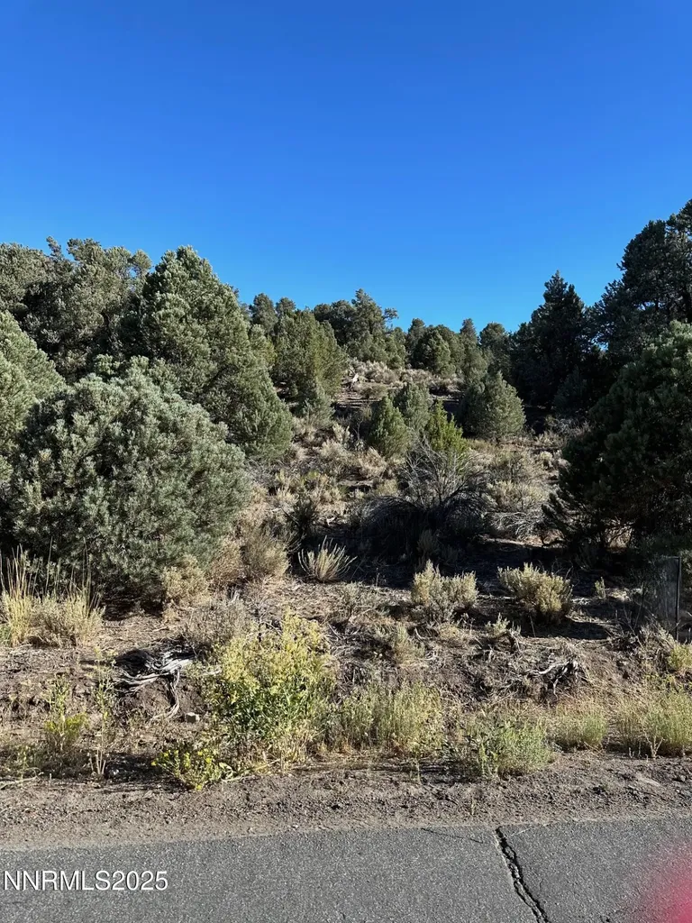 2531 Cartwright Reno NV 89521