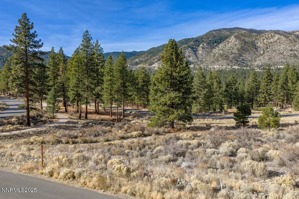 575 Headwaters Carson City NV 89705