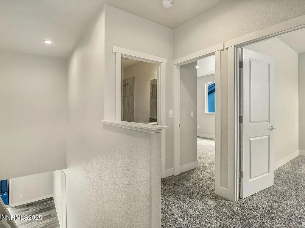 455 Axelson Genoa NV 89411