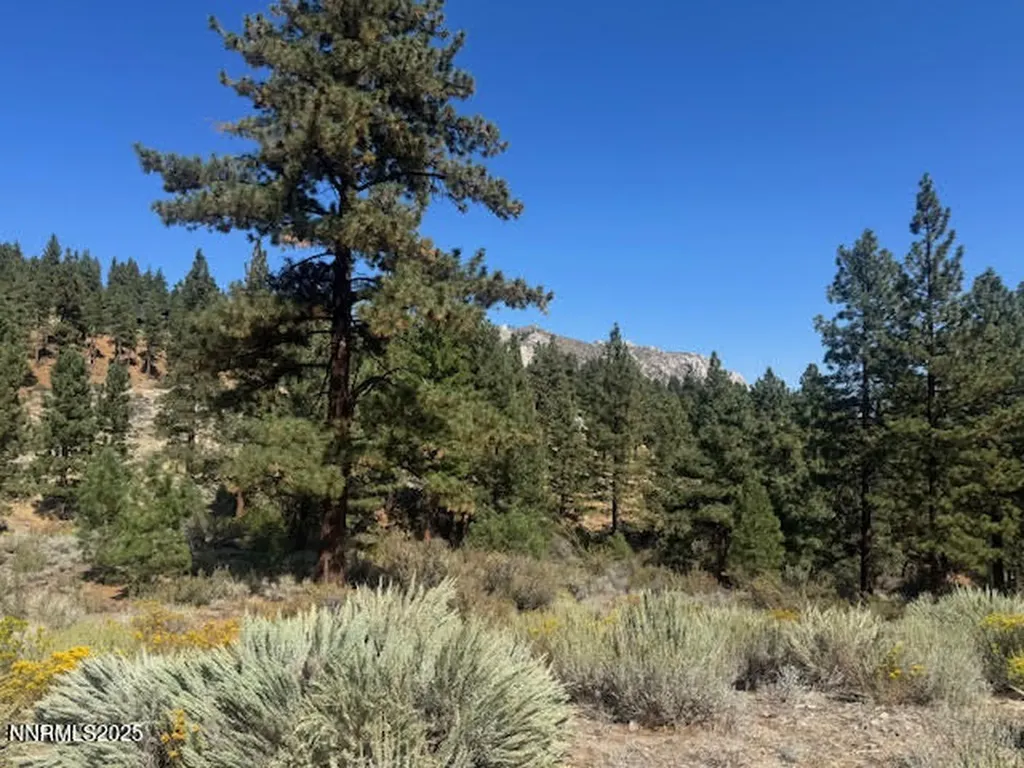 3521 Cutoff Carson City NV 89705