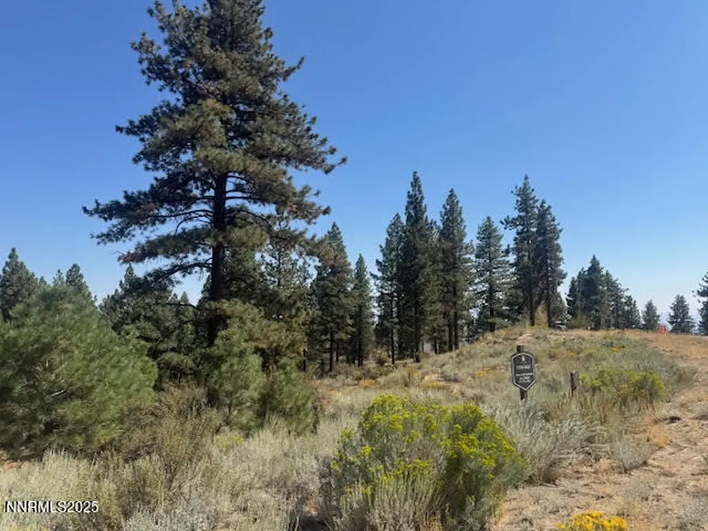 3521 Cutoff Carson City NV 89705