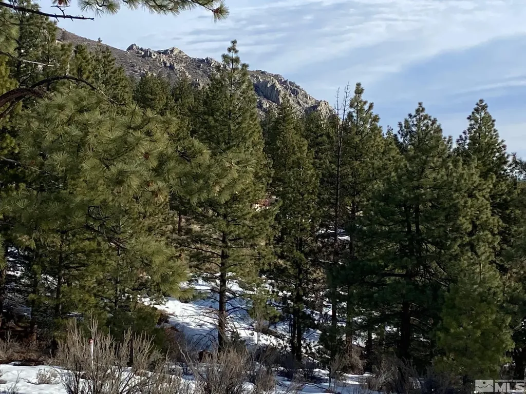 3521 Cutoff Carson City NV 89705