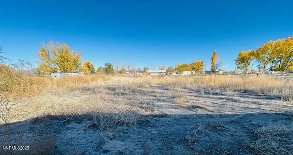 2099 Thomas Fallon NV 89406