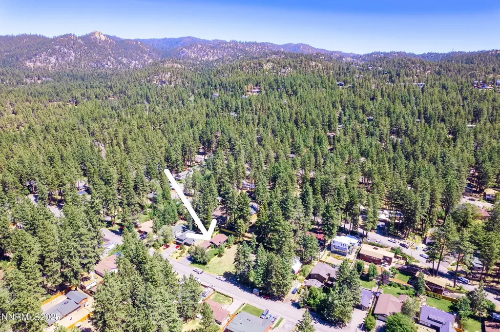 173 Cottonwood Stateline NV 89449