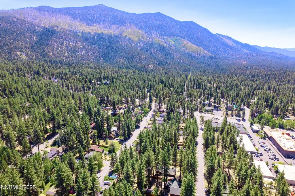 173 Cottonwood Stateline NV 89449