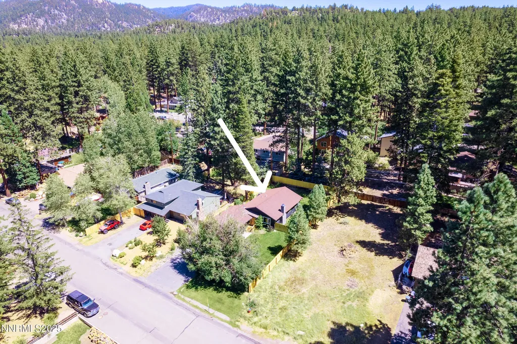 173 Cottonwood Stateline NV 89449