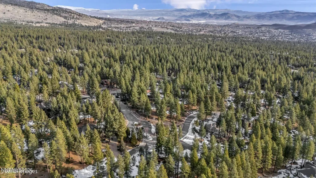 307 Jeffrey Pine Reno NV 89511