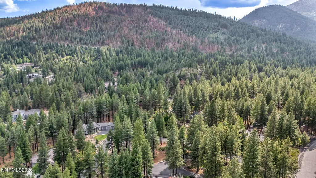 307 Jeffrey Pine Reno NV 89511
