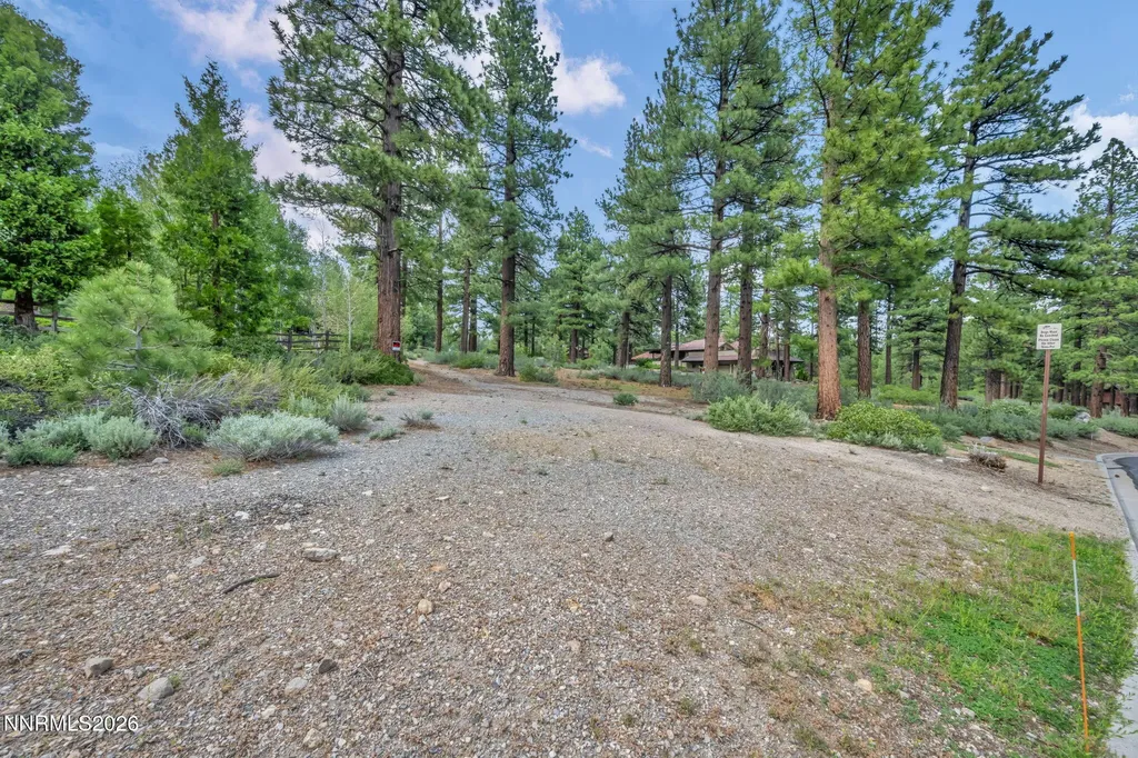307 Jeffrey Pine Reno NV 89511