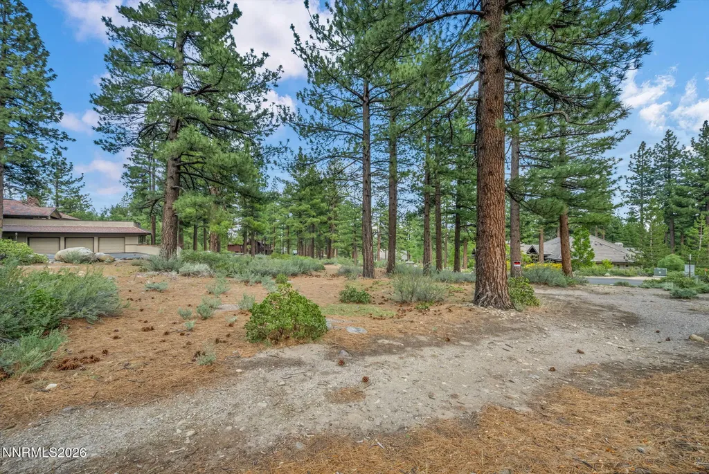 307 Jeffrey Pine Reno NV 89511