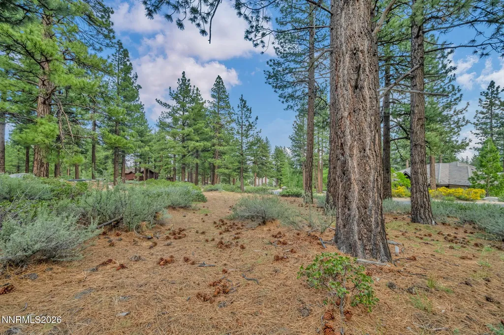 307 Jeffrey Pine Reno NV 89511