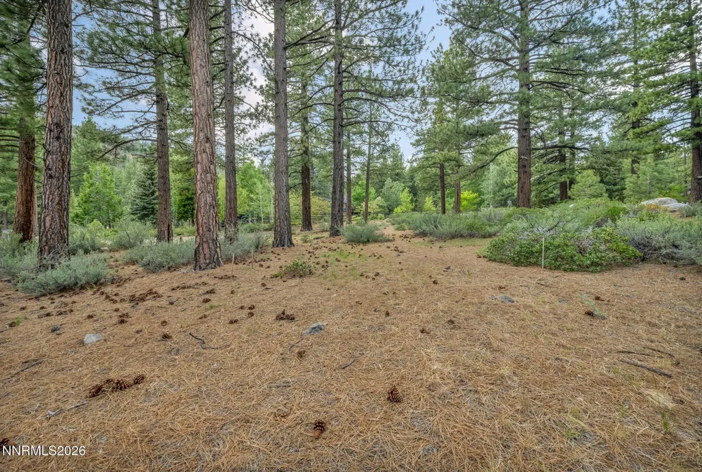 307 Jeffrey Pine Reno NV 89511