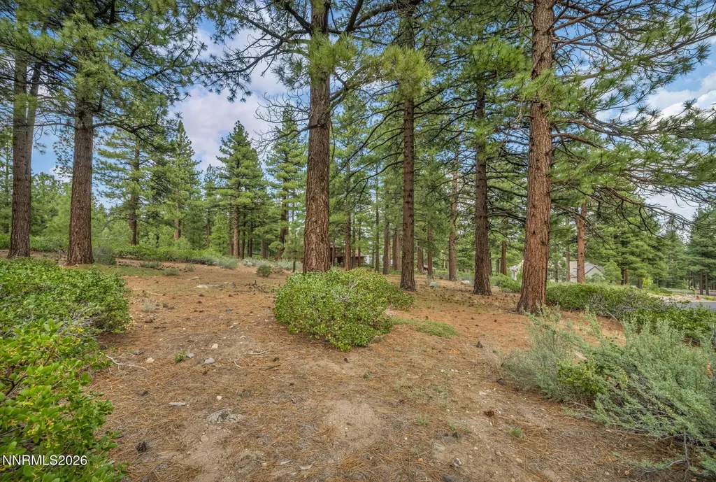 307 Jeffrey Pine Reno NV 89511
