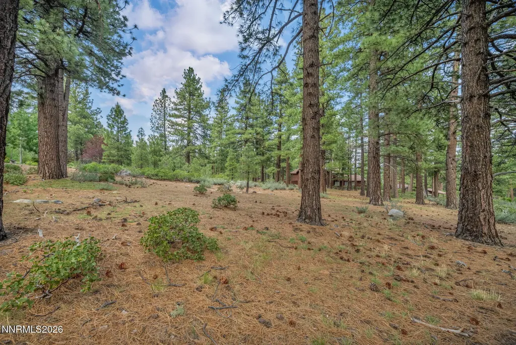 307 Jeffrey Pine Reno NV 89511