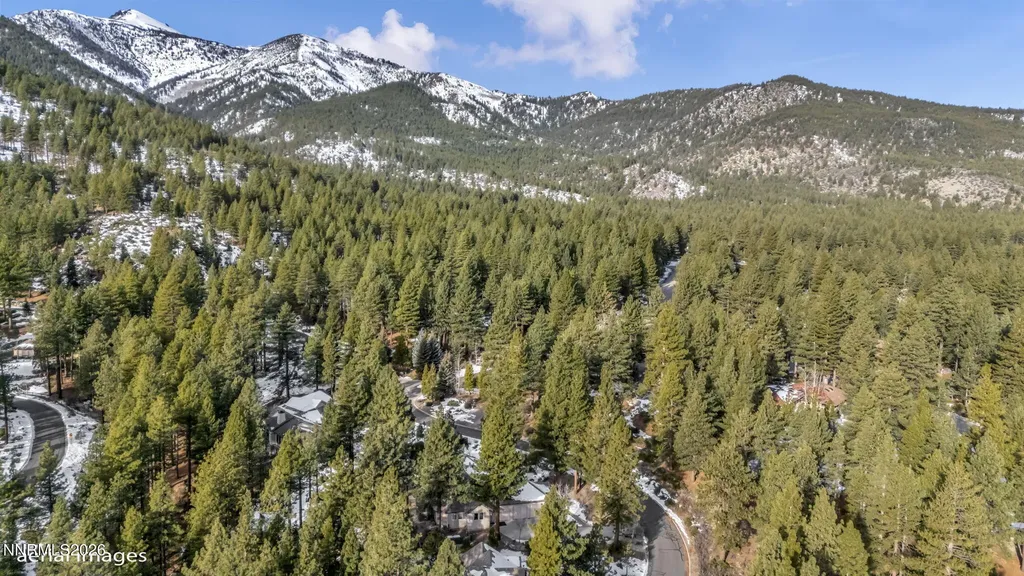 307 Jeffrey Pine Reno NV 89511