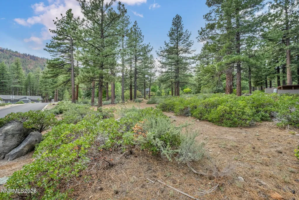 307 Jeffrey Pine Reno NV 89511