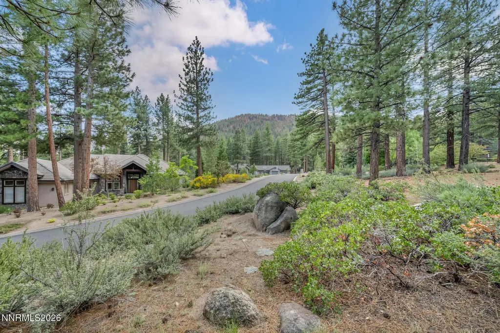 307 Jeffrey Pine Reno NV 89511