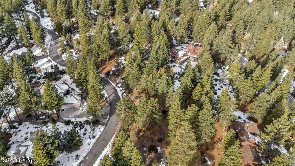 307 Jeffrey Pine Reno NV 89511