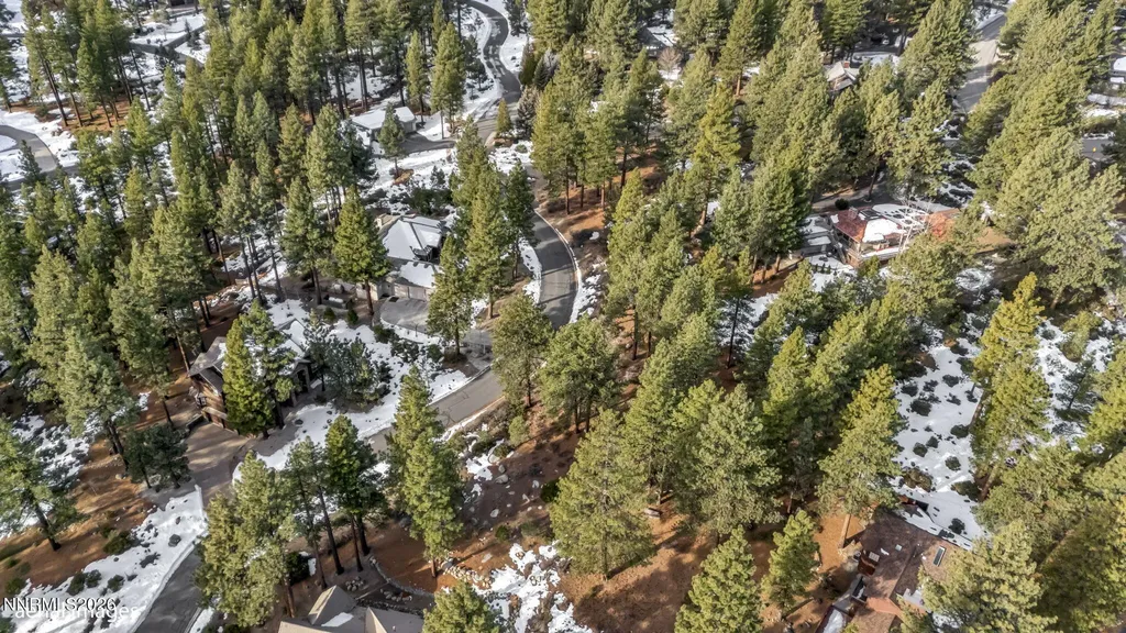 307 Jeffrey Pine Reno NV 89511
