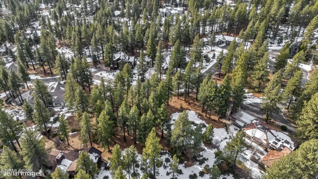 307 Jeffrey Pine Reno NV 89511