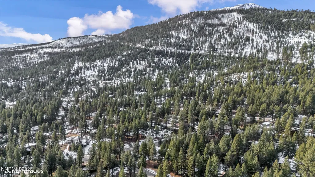 307 Jeffrey Pine Reno NV 89511